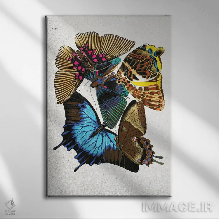 تابلو دکوراتیو پروانه ها IV اثر امیل آلن سگویی - نمای روبهرو روی دیوار
