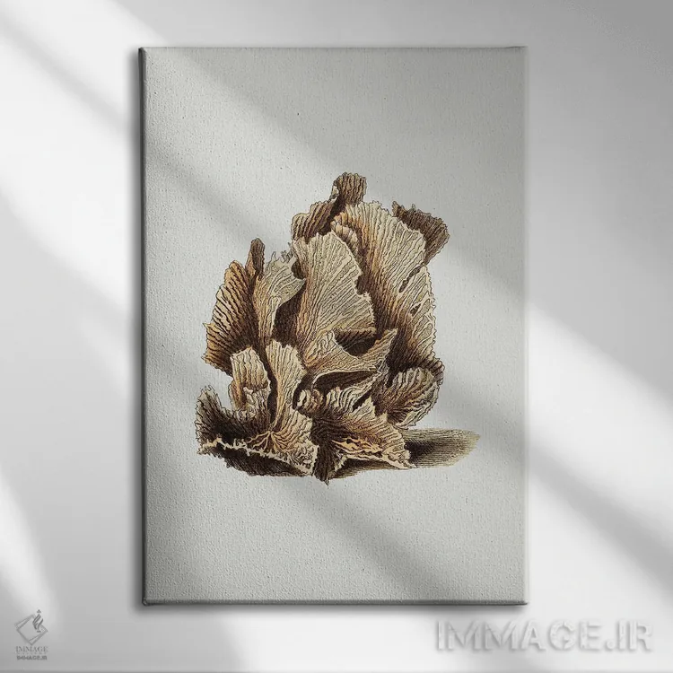 تابلو مینیمال کاهوی مادروپور اثر جورج شا - نمای روبهرو روی دیوار