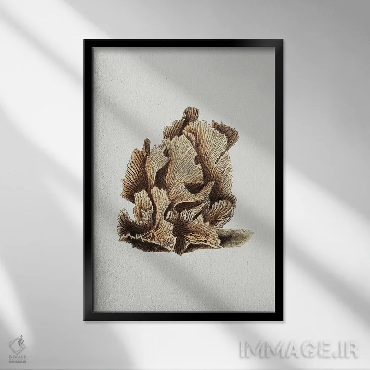تابلو مینیمال کاهوی مادروپور اثر جورج شا - نمای قابدار مشکی
