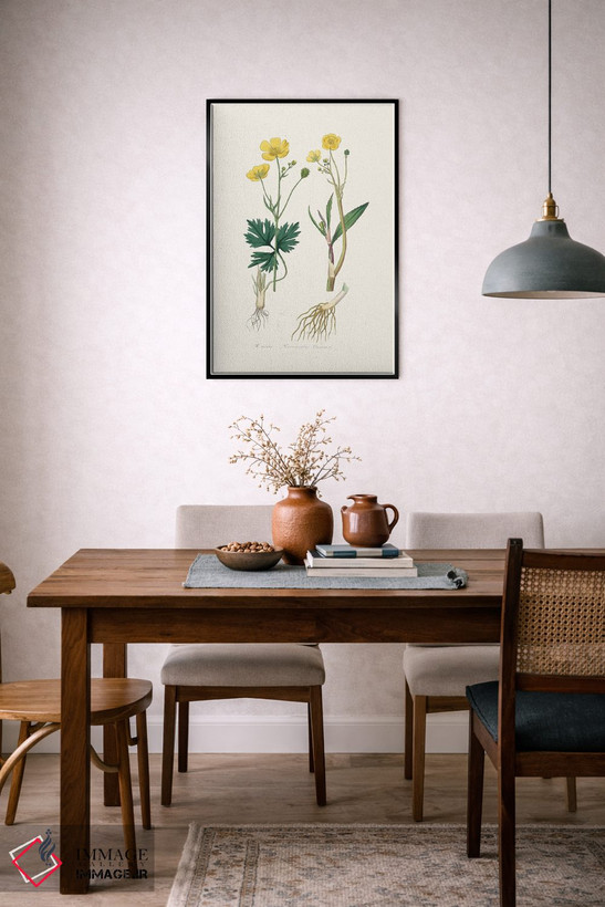 تابلو مینیمال نیزه گل کوچک گیاه پزشکی اثر جان استیونسون - D6B