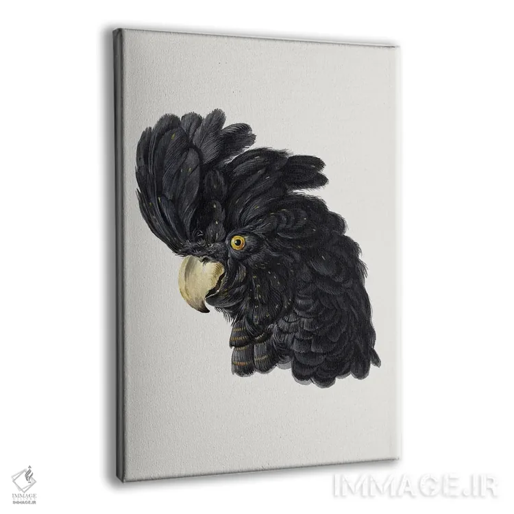 تابلو مدرن سر کاکاتو اثر آرت شوومان - نمای پرسپکتیو محصول