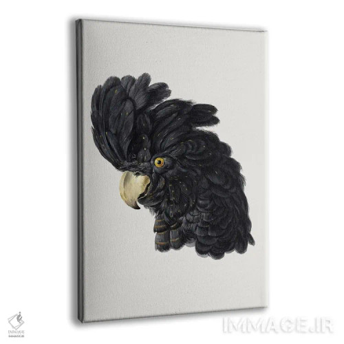 تابلو مدرن سر کاکاتو اثر آرت شوومان - نمای پرسپکتیو محصول