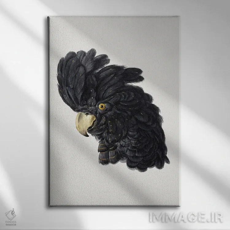 تابلو مدرن سر کاکاتو اثر آرت شوومان - نمای روبهرو روی دیوار