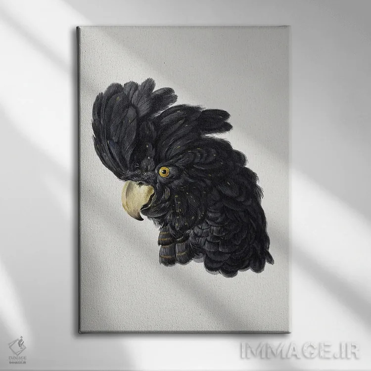 تابلو مدرن سر کاکاتو اثر آرت شوومان - نمای روبهرو روی دیوار