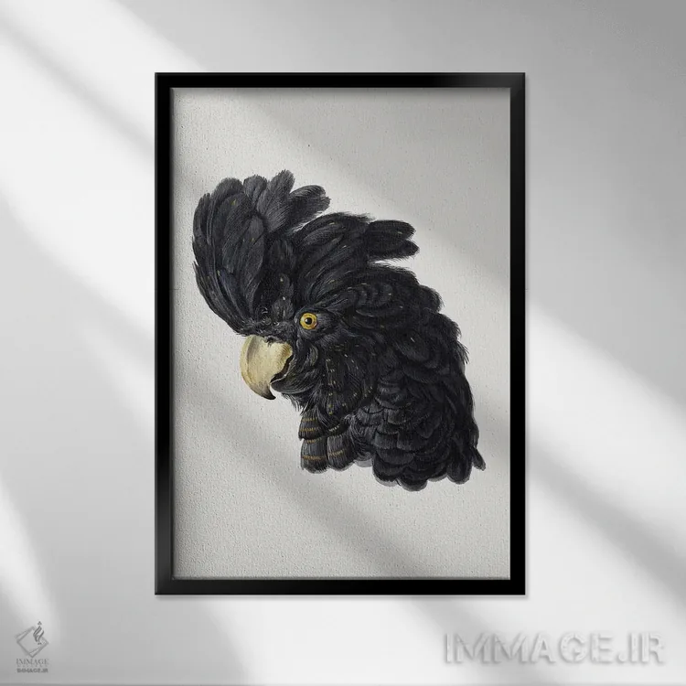 تابلو مدرن سر کاکاتو اثر آرت شوومان - نمای قابدار مشکی