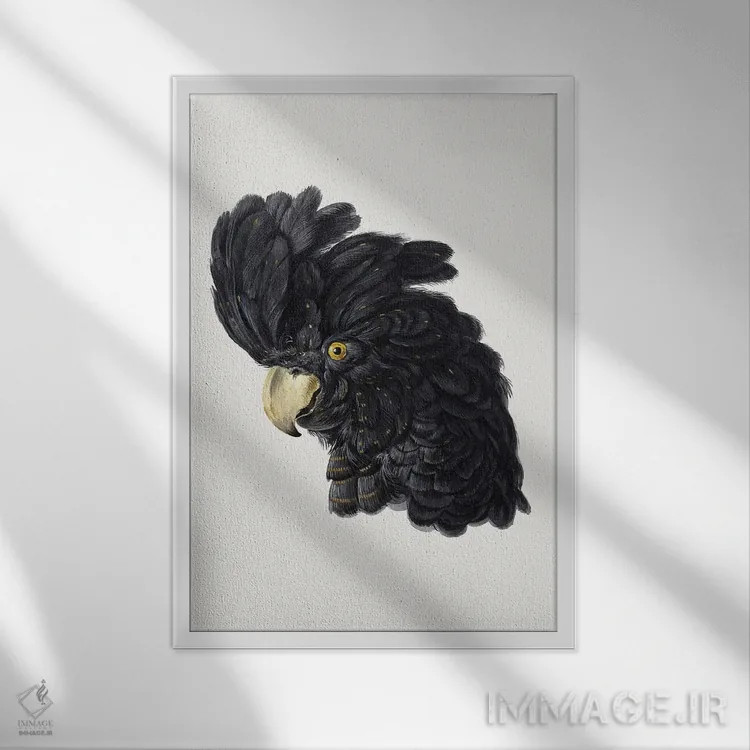 تابلو مدرن سر کاکاتو اثر آرت شوومان - نمای قابدار سفید