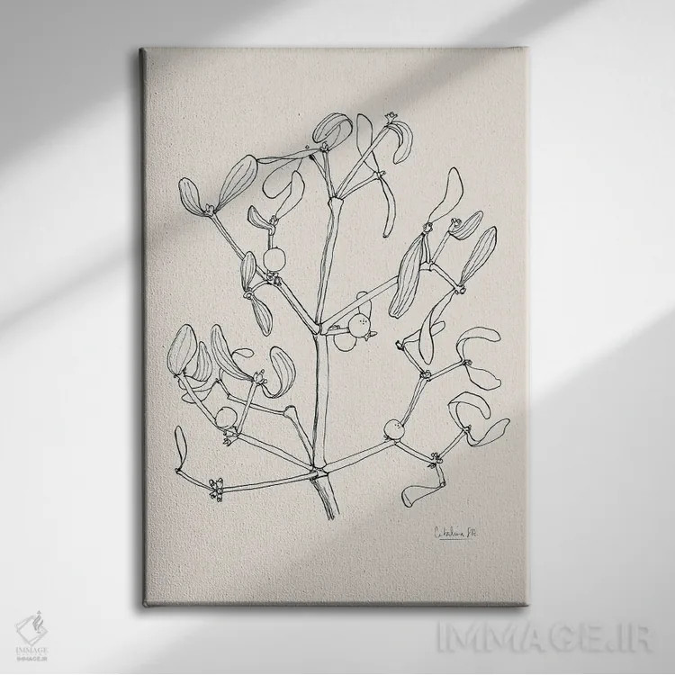 تابلو مینیمال نقاشی مرکب گیاه خرفه اثر کاتالینا سومولینوس - نمای روبهرو روی دیوار
