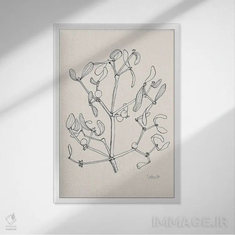 تابلو مینیمال نقاشی مرکب گیاه خرفه اثر کاتالینا سومولینوس - نمای قابدار سفید