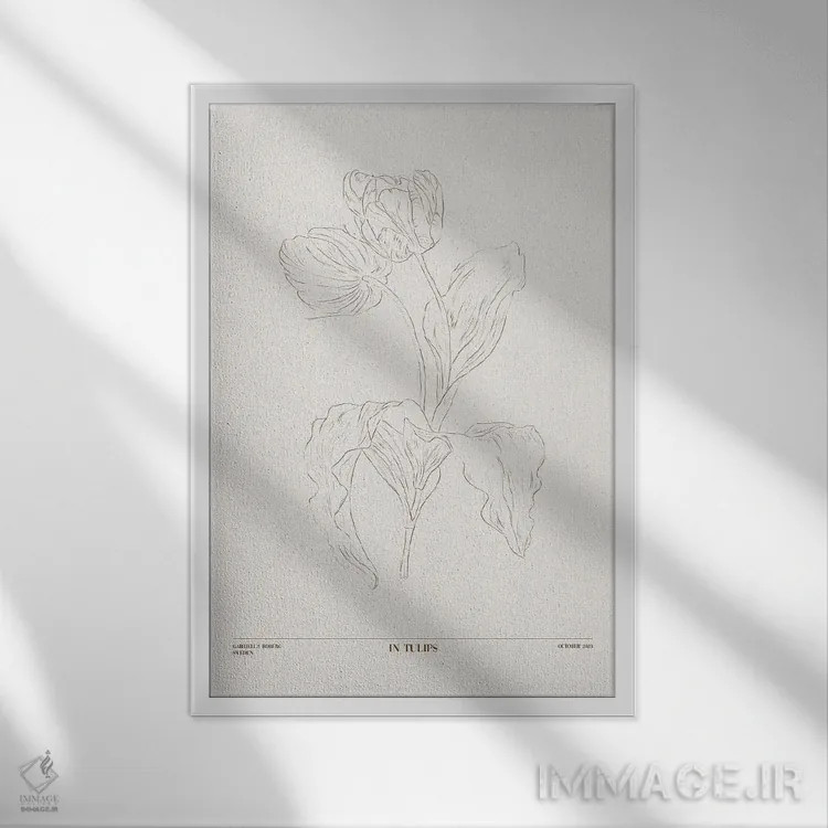 تابلو مینیمال در لاله ها اثر گابریلا روبرگ - نمای قابدار سفید