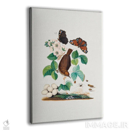 تابلو دکوراتیو پرنده خانه نشین اثر جیمز بولتون - نمای پرسپکتیو محصول