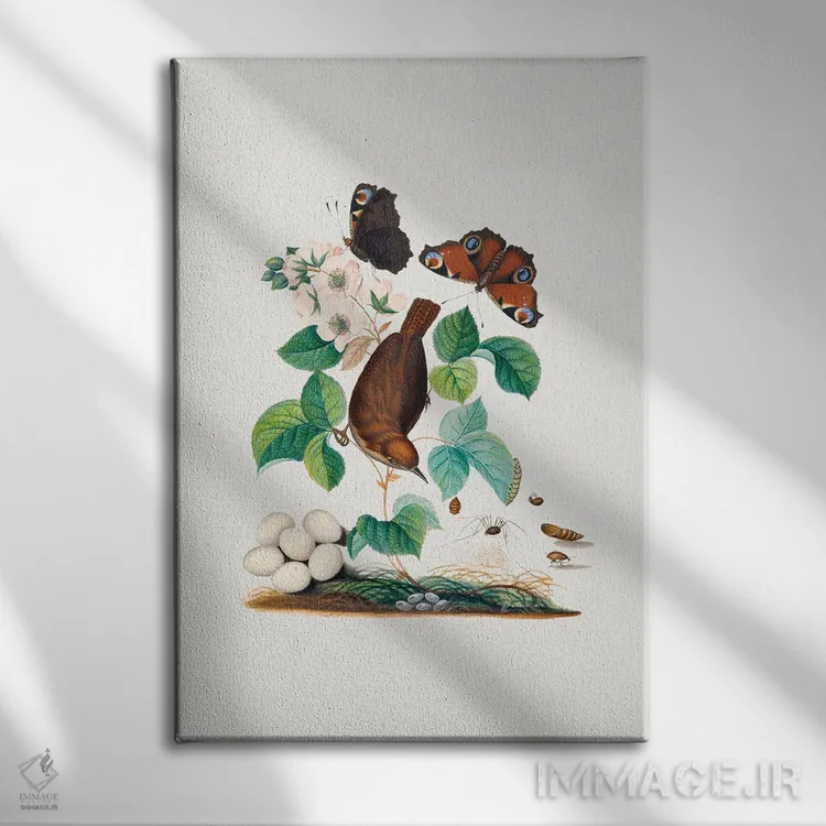 تابلو دکوراتیو پرنده خانه نشین اثر جیمز بولتون - نمای روبهرو روی دیوار