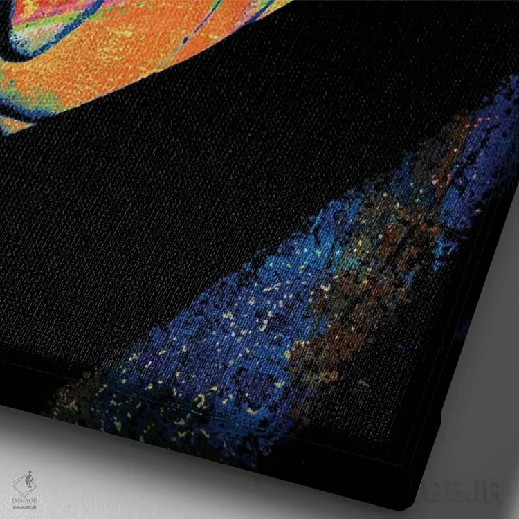 تابلو دکوراتیو آلبرت اینشتین اثر کارخانه پاپ آرت - نمای نزدیک بافت بوم