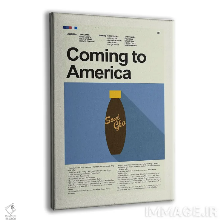 تابلو دکوراتیو آمدن به آمریکا اثر پرینتس اند گیگلز اثر ارین هیگرمن - نمای پرسپکتیو محصول