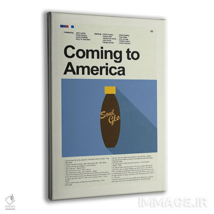 تابلو دکوراتیو آمدن به آمریکا اثر پرینتس اند گیگلز اثر ارین هیگرمن - نمای پرسپکتیو محصول