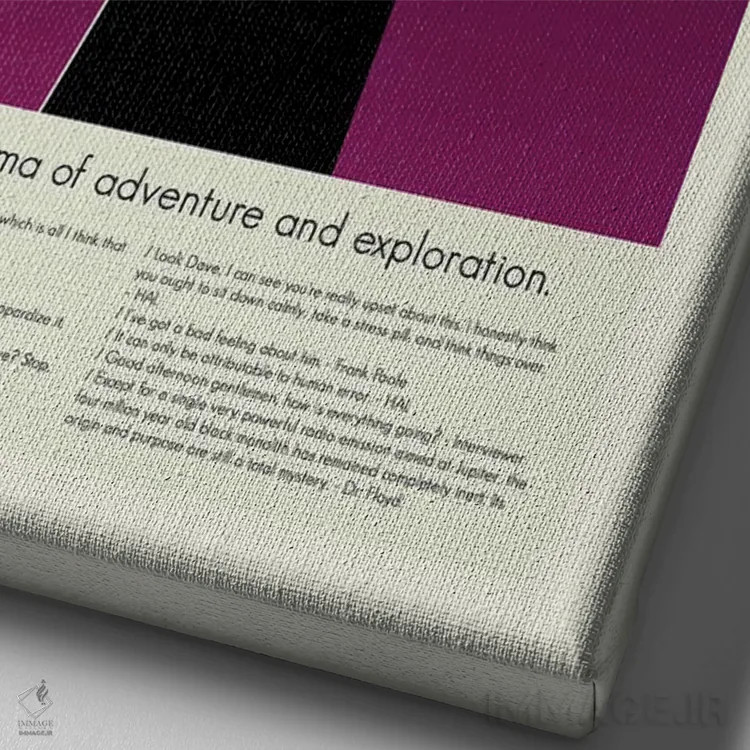 تابلو مینیمال ۲۰۰۱: یک ادیسه فضایی اثر پرینتس اند گیگلز اثر ارین هیگرمن - نمای نزدیک بافت بوم