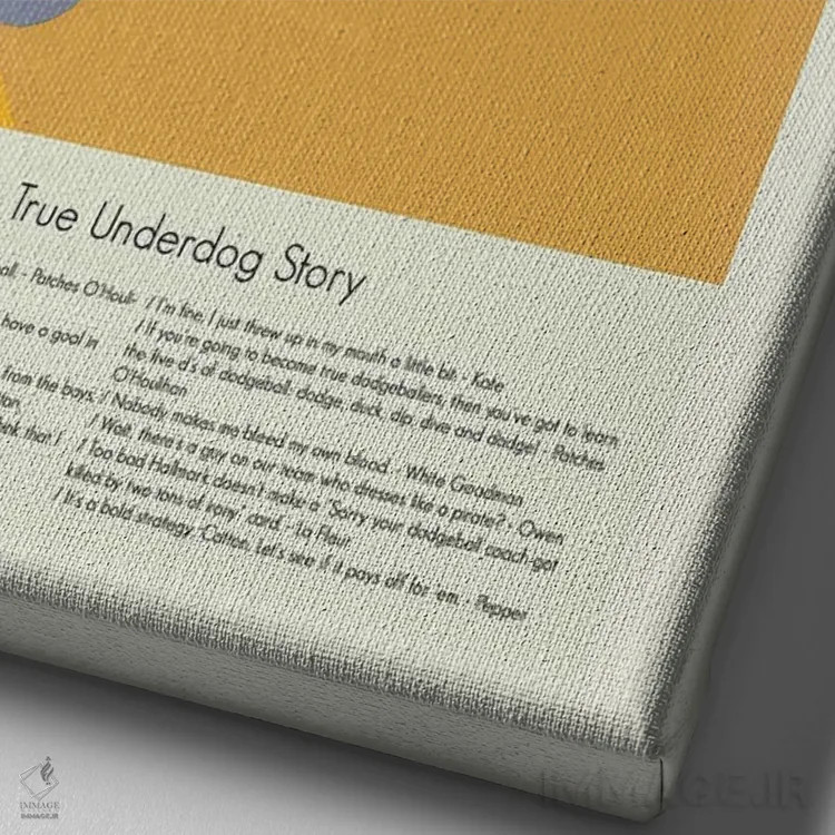 تابلو دکوراتیو دوج بال اثر پرینتس اند گیگلز اثر ارین هیگرمن - نمای نزدیک بافت بوم