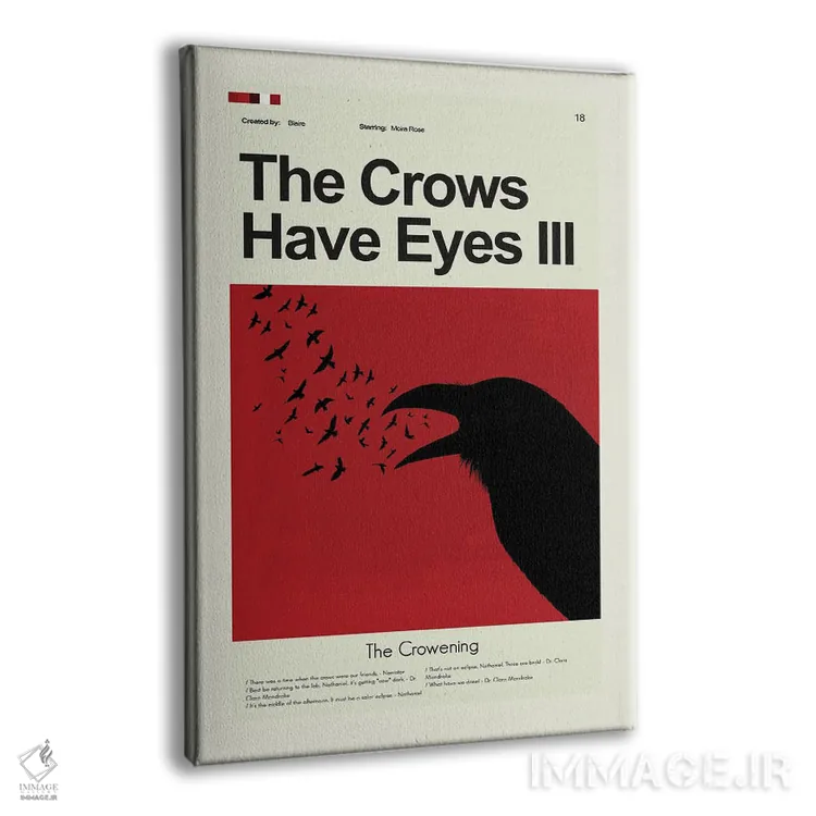 تابلو مینیمال کلاغ ها چشم دارند ۳ اثر پرینتس اند گیگلز اثر ارین هیگرمن - نمای پرسپکتیو محصول