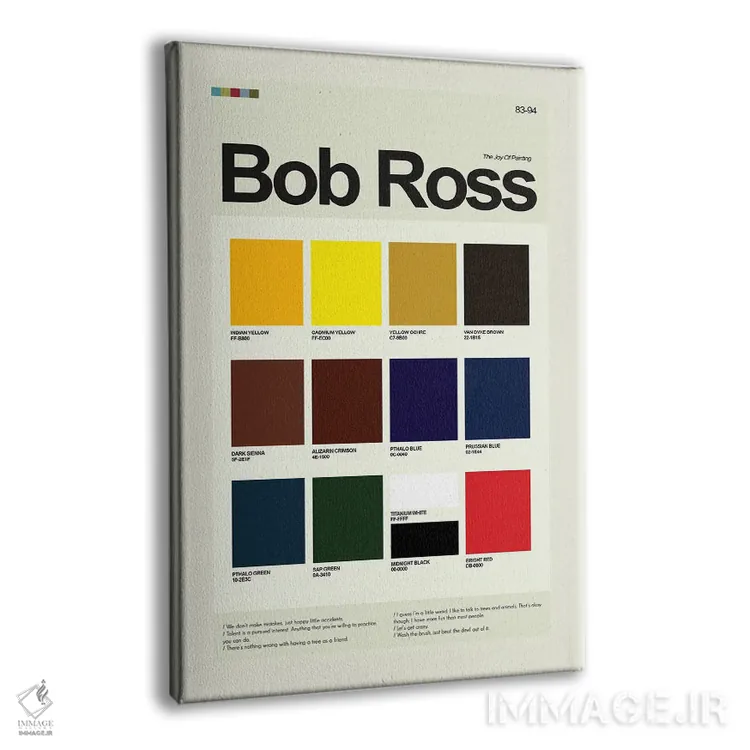 تابلو دکوراتیو باب راس اثر پرینتس اند گیگلز اثر ارین هیگرمن - نمای پرسپکتیو محصول