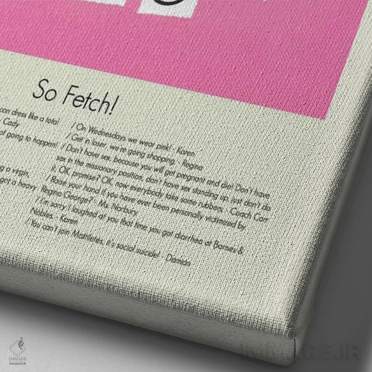 تابلو دکوراتیو دختران بدجنس اثر پرینتس اند گیگلز اثر ارین هیگرمن - نمای نزدیک بافت بوم