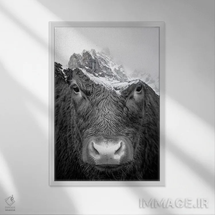 تابلو دکوراتیو گاو نر اثر پل هاگ - نمای قابدار سفید