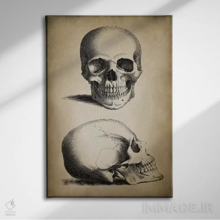 تابلو دکوراتیو جمجمه اثر پتنت پرینت استور - نمای روبهرو روی دیوار