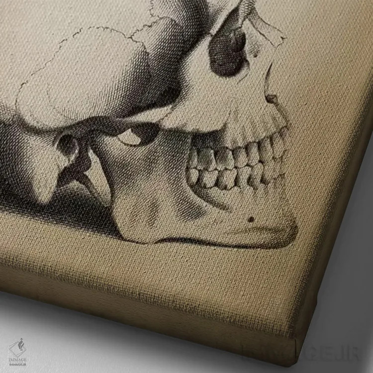 تابلو دکوراتیو جمجمه اثر پتنت پرینت استور - نمای نزدیک بافت بوم