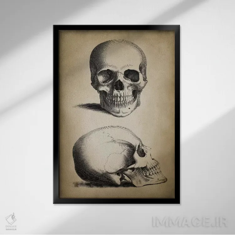 تابلو دکوراتیو جمجمه اثر پتنت پرینت استور - نمای قابدار مشکی