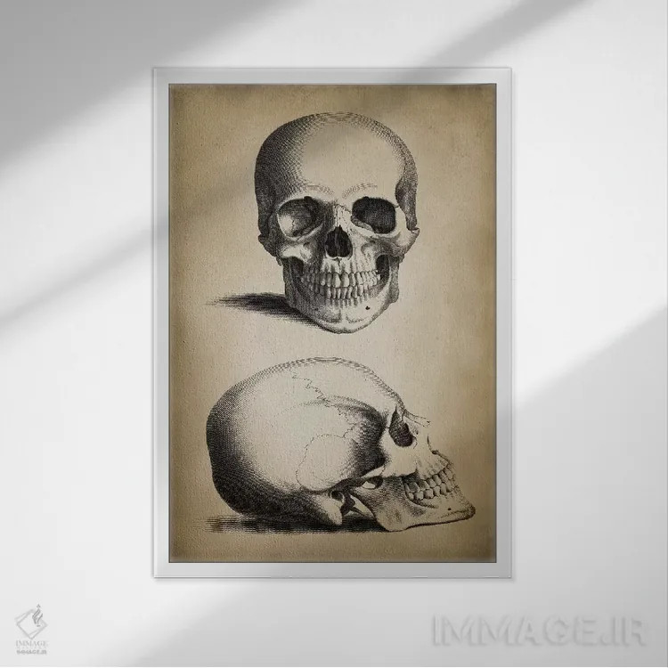 تابلو دکوراتیو جمجمه اثر پتنت پرینت استور - نمای قابدار سفید