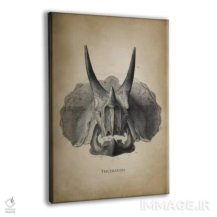 تابلو دکوراتیو تری سراپتوس اثر پتنت پرینت استور - نمای پرسپکتیو محصول