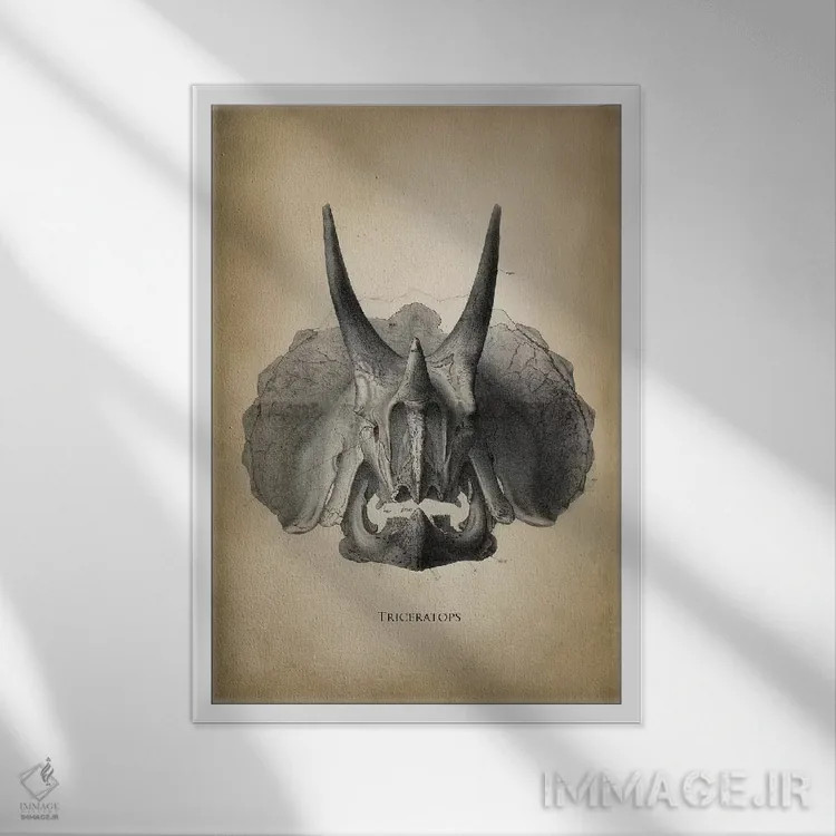 تابلو دکوراتیو تری سراپتوس اثر پتنت پرینت استور - نمای قابدار سفید