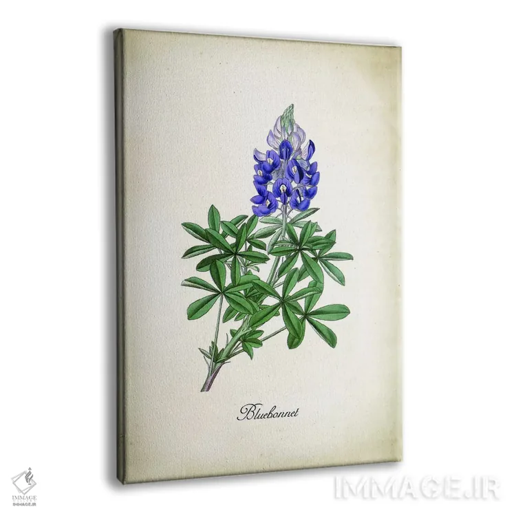 تابلو دکوراتیو گل بلو بونت اثر پتنت پرینت استور - نمای پرسپکتیو محصول