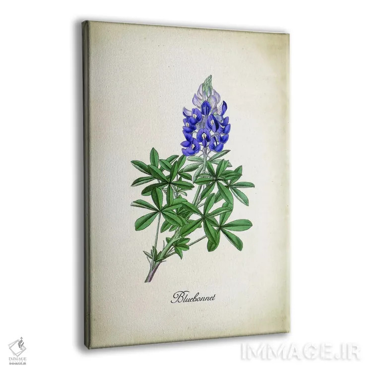 تابلو دکوراتیو گل بلو بونت اثر پتنت پرینت استور - نمای پرسپکتیو محصول