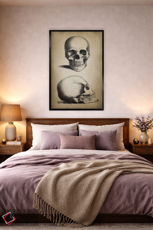 تابلو دکوراتیو جمجمه اثر پتنت پرینت استور - D4B