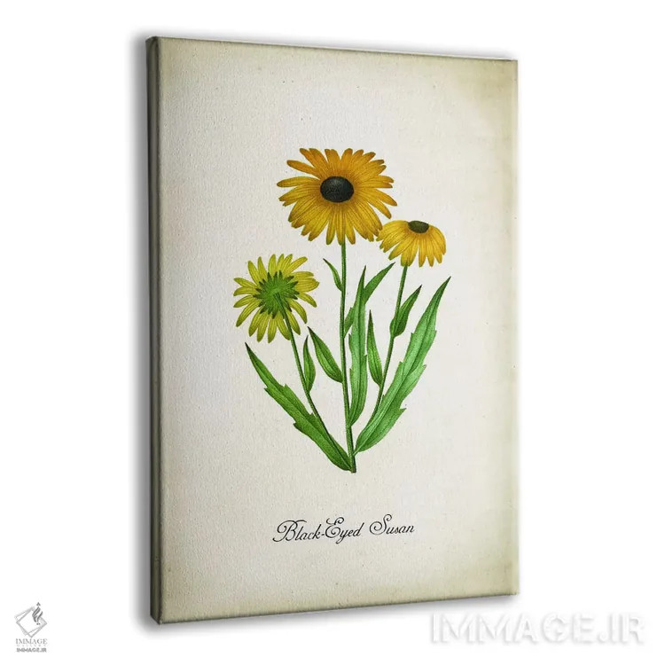 تابلو دکوراتیو گل بلک آید سوزان اثر پتنت پرینت استور - نمای پرسپکتیو محصول