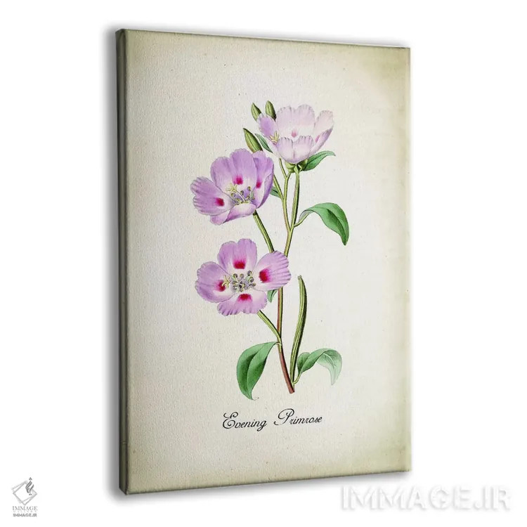 تابلو دکوراتیو گل پرایم رز شامگاهی اثر پتنت پرینت استور - نمای پرسپکتیو محصول