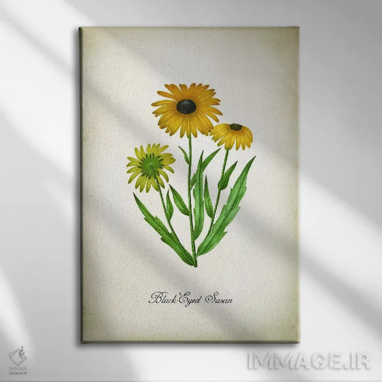 تابلو دکوراتیو گل بلک آید سوزان اثر پتنت پرینت استور - نمای روبهرو روی دیوار