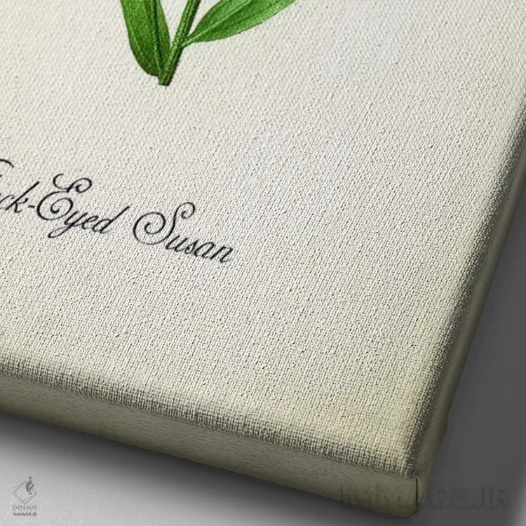 تابلو دکوراتیو گل بلک آید سوزان اثر پتنت پرینت استور - نمای نزدیک بافت بوم