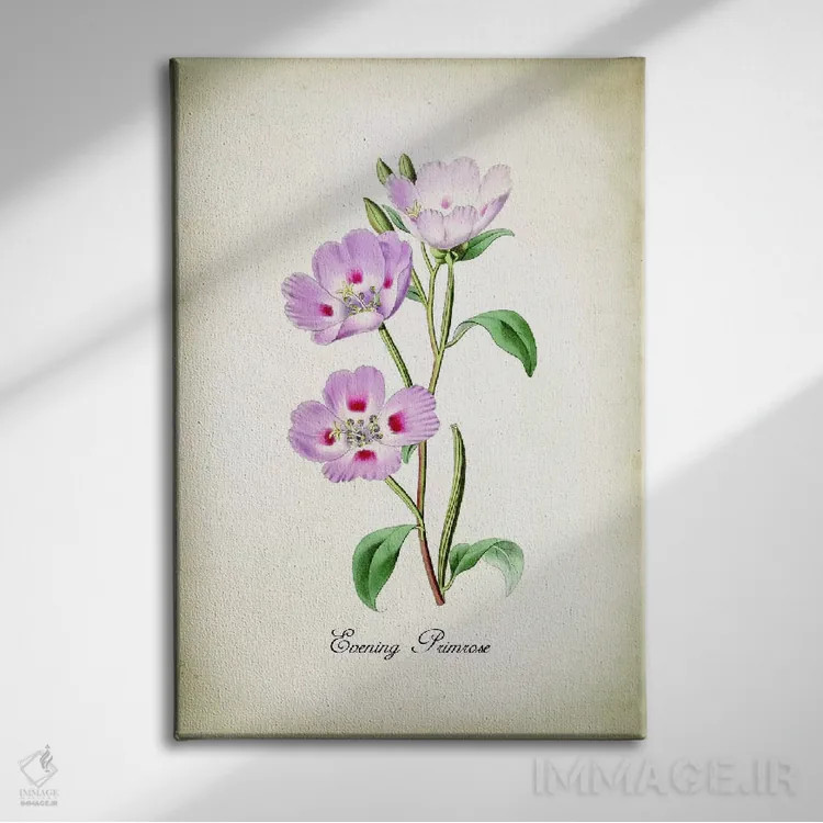 تابلو دکوراتیو گل پرایم رز شامگاهی اثر پتنت پرینت استور - نمای روبهرو روی دیوار