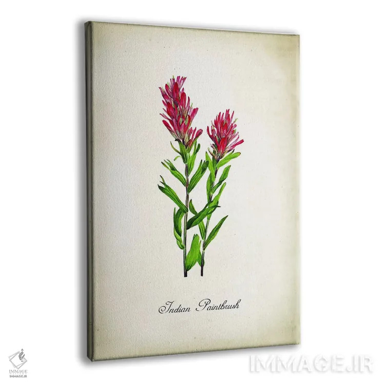 تابلو دکوراتیو گل ایندیان پینتبراش اثر پتنت پرینت استور - نمای پرسپکتیو محصول