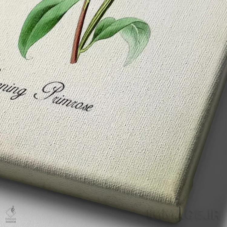 تابلو دکوراتیو گل پرایم رز شامگاهی اثر پتنت پرینت استور - نمای نزدیک بافت بوم