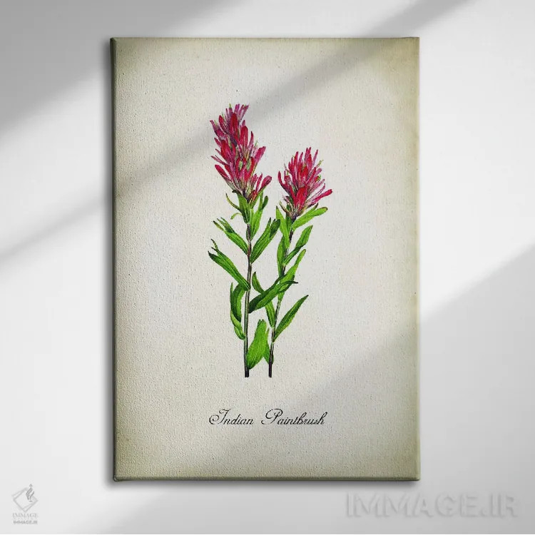 تابلو دکوراتیو گل ایندیان پینتبراش اثر پتنت پرینت استور - نمای روبهرو روی دیوار