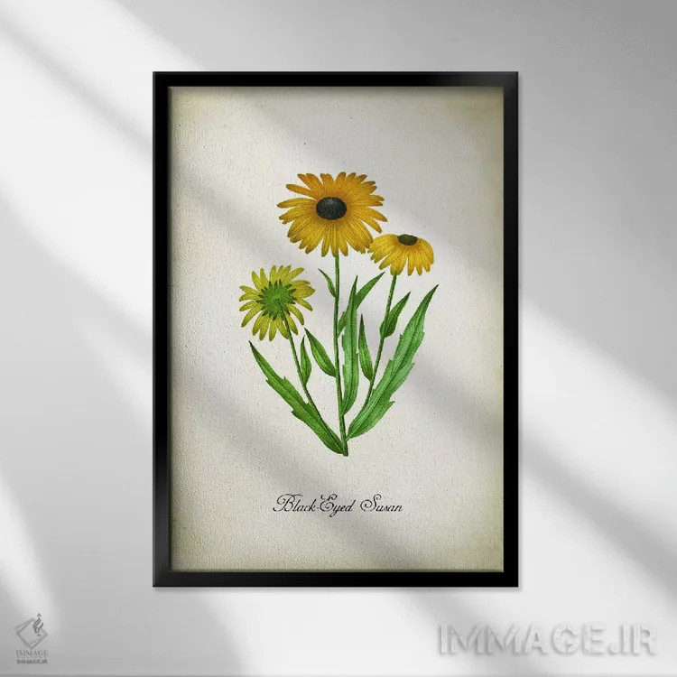 تابلو دکوراتیو گل بلک آید سوزان اثر پتنت پرینت استور - نمای قابدار مشکی