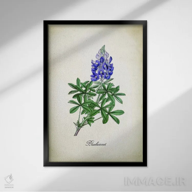 تابلو دکوراتیو گل بلو بونت اثر پتنت پرینت استور - نمای قابدار مشکی