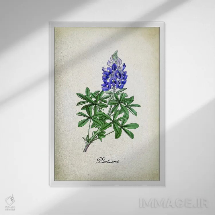 تابلو دکوراتیو گل بلو بونت اثر پتنت پرینت استور - نمای قابدار سفید