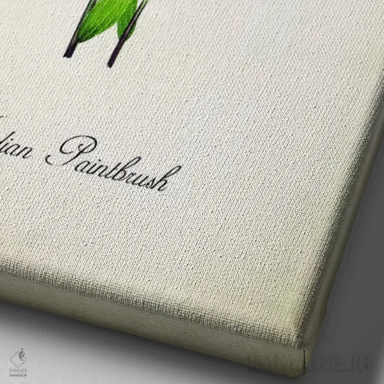 تابلو دکوراتیو گل ایندیان پینتبراش اثر پتنت پرینت استور - نمای نزدیک بافت بوم