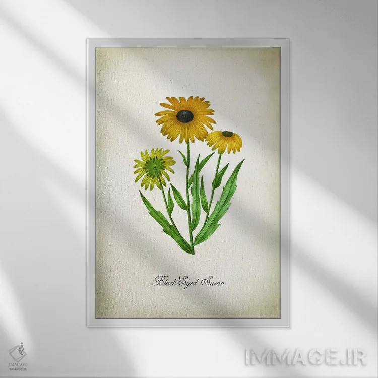 تابلو دکوراتیو گل بلک آید سوزان اثر پتنت پرینت استور - نمای قابدار سفید