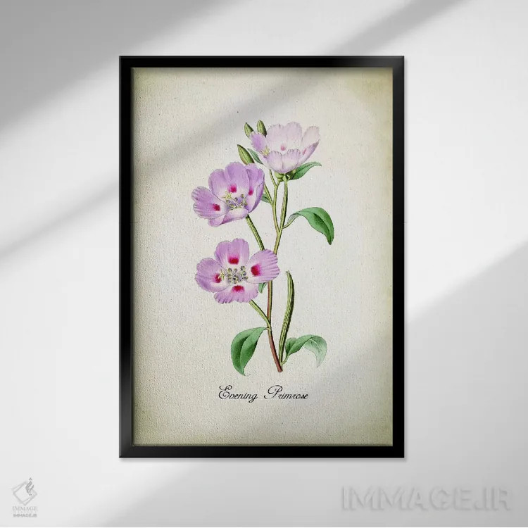 تابلو دکوراتیو گل پرایم رز شامگاهی اثر پتنت پرینت استور - نمای قابدار مشکی