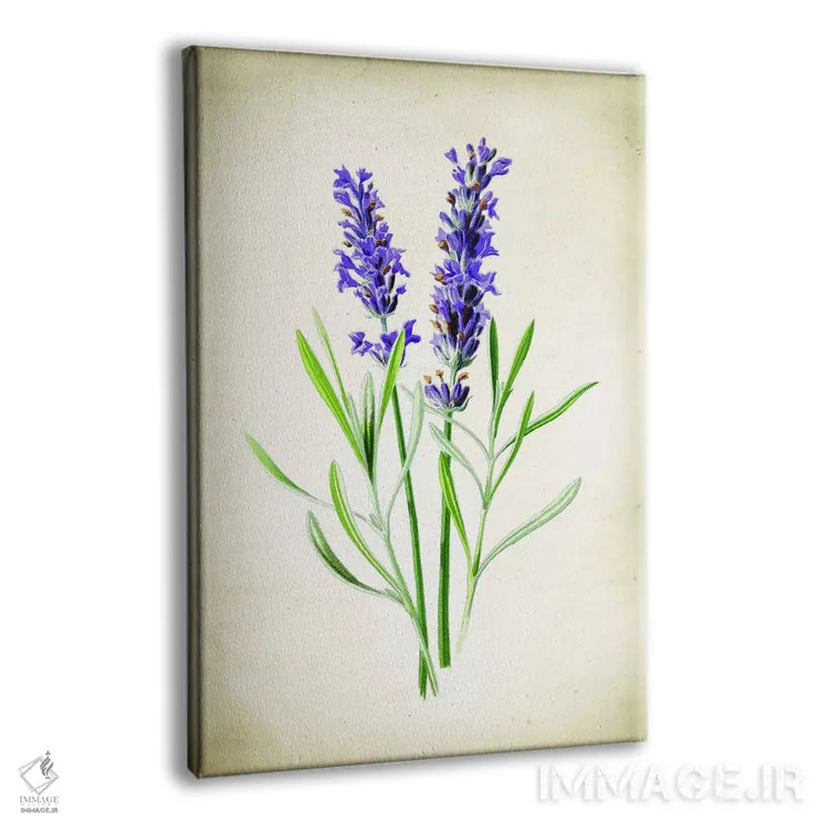 تابلو دکوراتیو اسطوخودوس اثر پتنت پرینت استور - نمای پرسپکتیو محصول