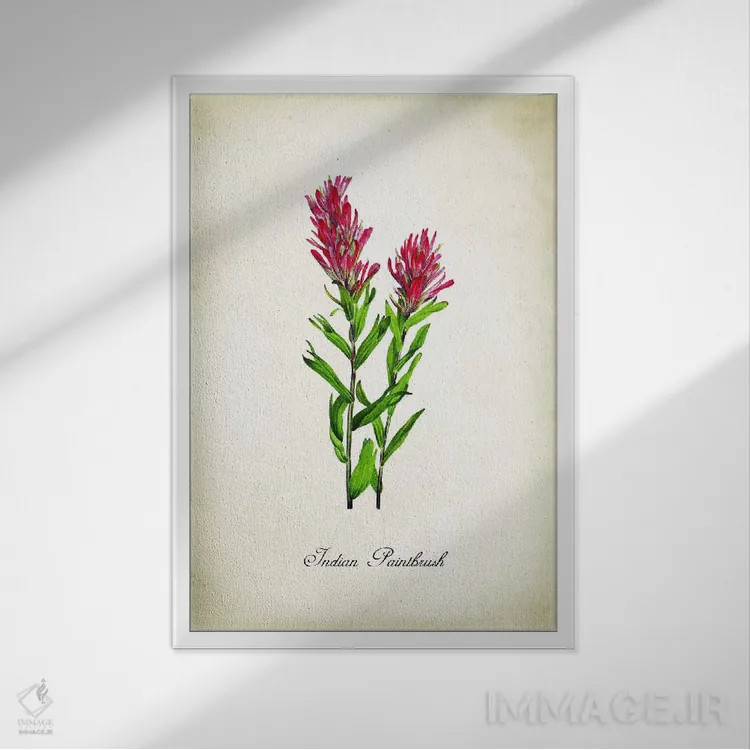 تابلو دکوراتیو گل ایندیان پینتبراش اثر پتنت پرینت استور - نمای قابدار سفید