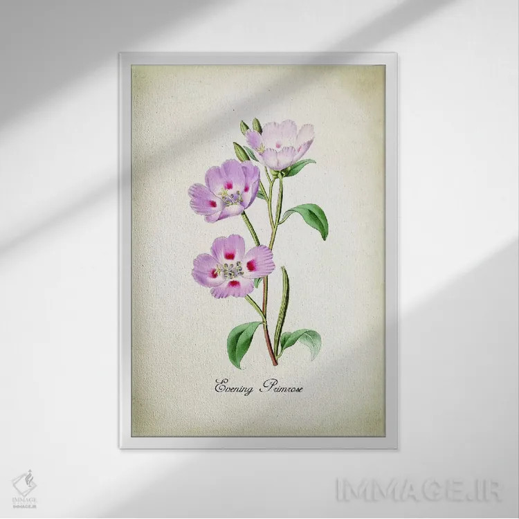 تابلو دکوراتیو گل پرایم رز شامگاهی اثر پتنت پرینت استور - نمای قابدار سفید